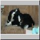 DSC01160.JPG