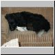 DSC01162.JPG