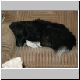DSC01164.JPG