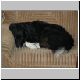 DSC01166.JPG